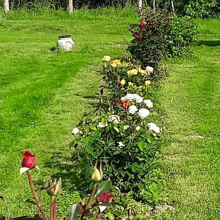 La Roulotte De L'ami Nature 3* Barrais-Bussolles