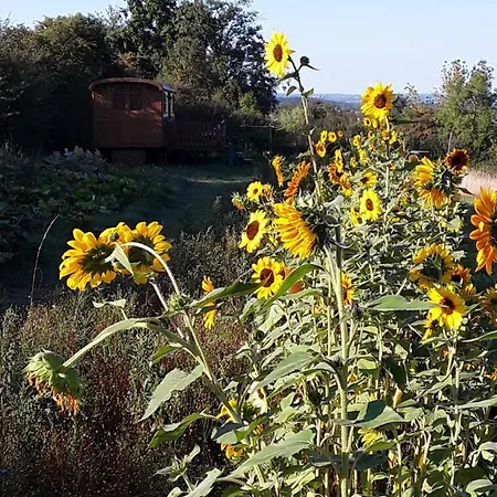 La Roulotte De L'ami Nature *