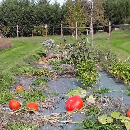 La Roulotte De L'ami Nature Bed & Breakfast *