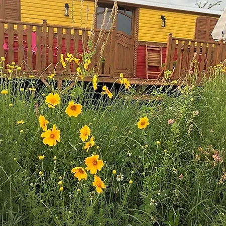 La Roulotte De L'ami Nature 3* Barrais-Bussolles
