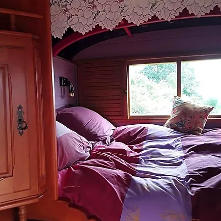 Bed & Breakfast La Roulotte De L'ami Nature