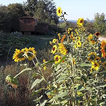 La Roulotte De L'ami Nature